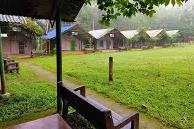 kulgi nature camp